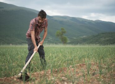 Sostenibilità: La minima lavorazione del Terreno