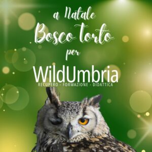 A Natale Bosco Torto per Wild Umbria